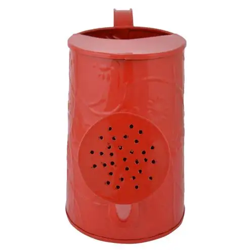 Design embossed Metal red watering can bulk quantity wholesale for outdoor and indoor plants flowers watering can Home Garden