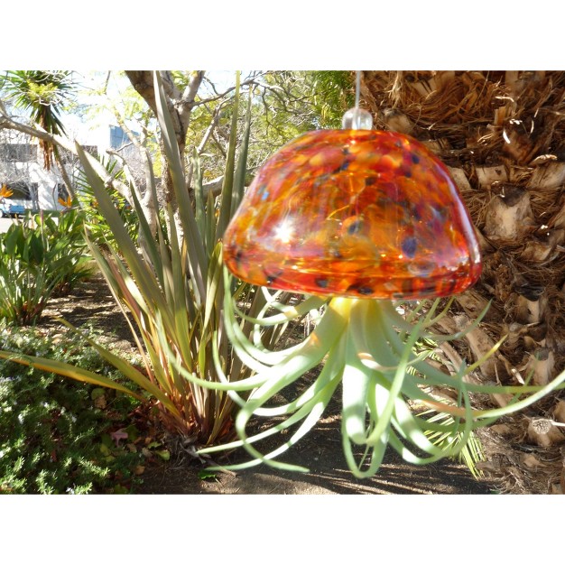 Glass Jellyfish With Faux Plant Coral Ultimate Innovations