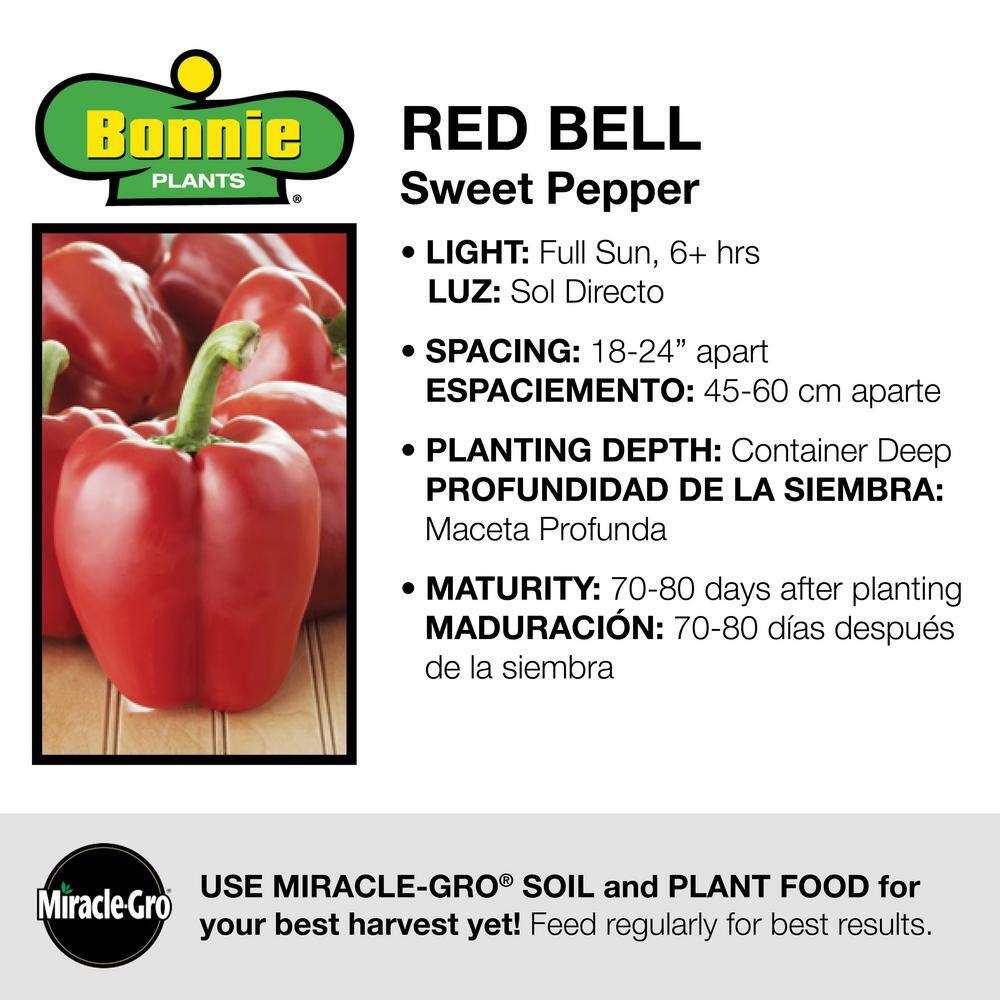 Bonnie Plants 19 oz. Sweet Red Bell Pepper Vegetable Plant 2101
