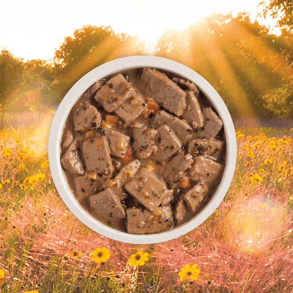 Acana Premium Chunks Grain Free Pork Recipe in Bone Broth for Dogs