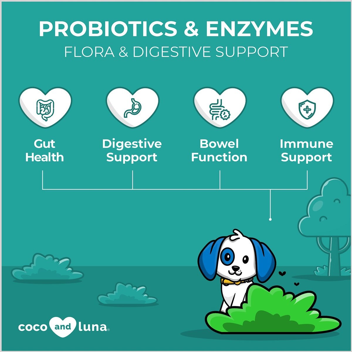 Coco and Luna Probiotics and Enzymes Bacon and Liver Flavor Dog Supplement， 120 count