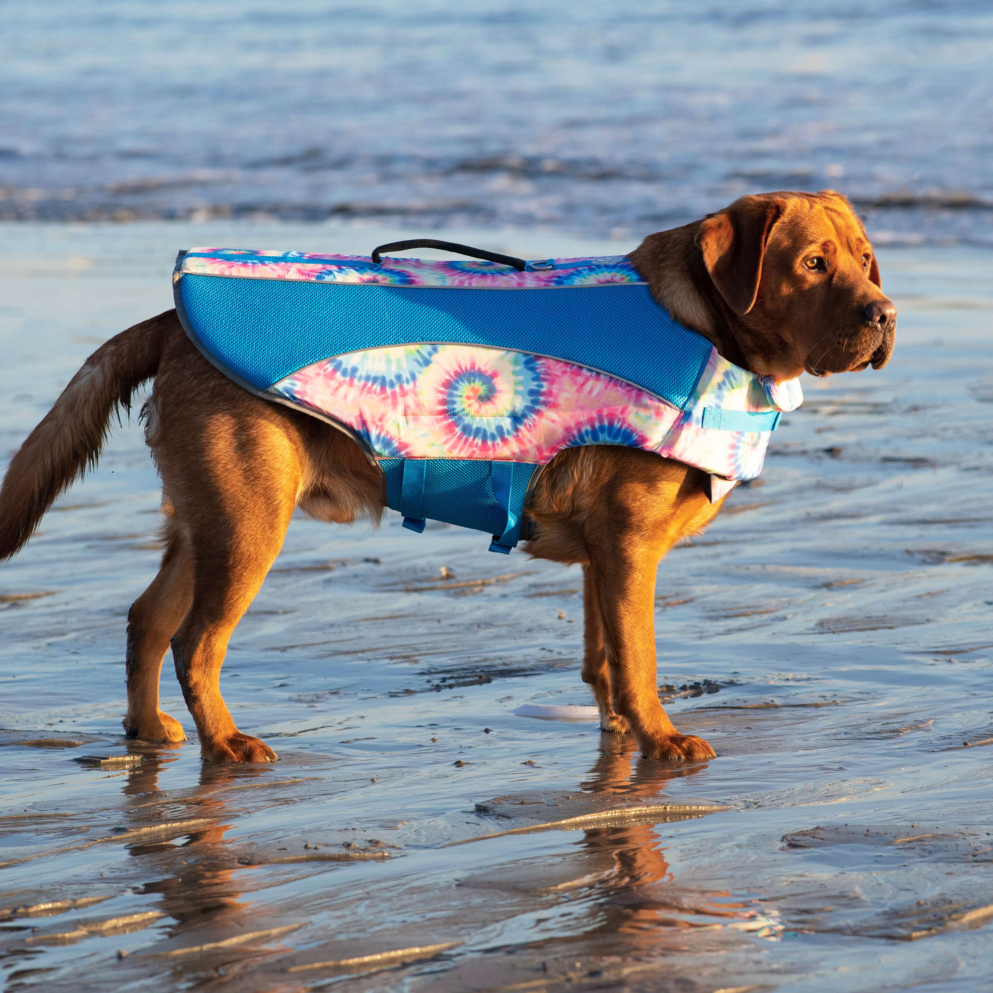 Canada Pooch Wave Rider Tie Dye Dog Life Vest， X-Small