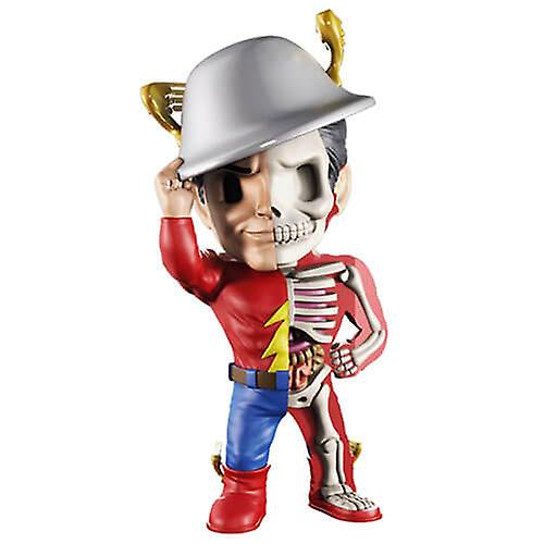 XXRAY Funny Anatomy Figure (The Flash)