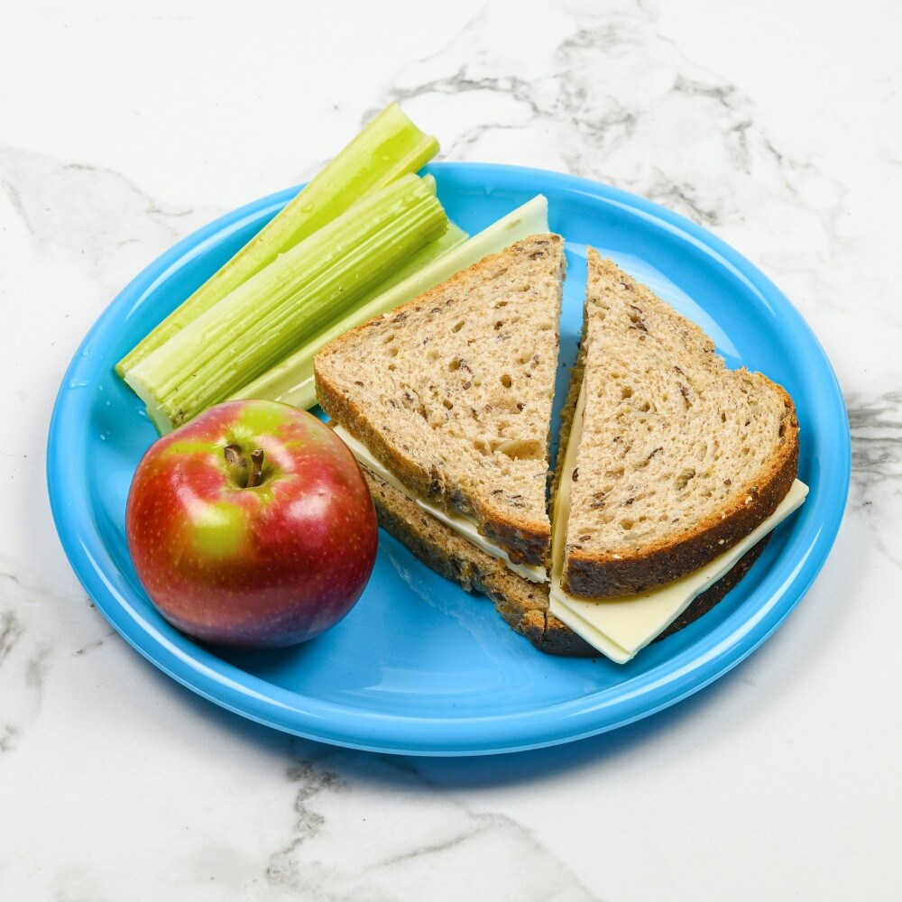 Round Flat Plate 8 Inch Microwavable Dishwasher Safe BPA Free