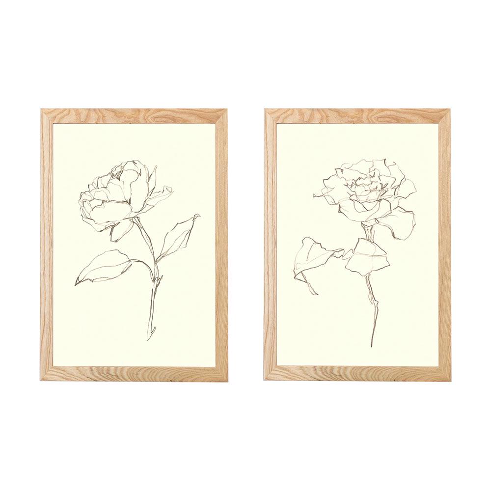 My Texas House  Floral Contour Study Framed Wall Art Print Set  16and#215;24