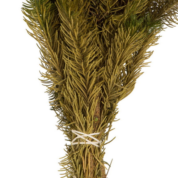 Vickerman 12 16 Brunia Stems 8oz