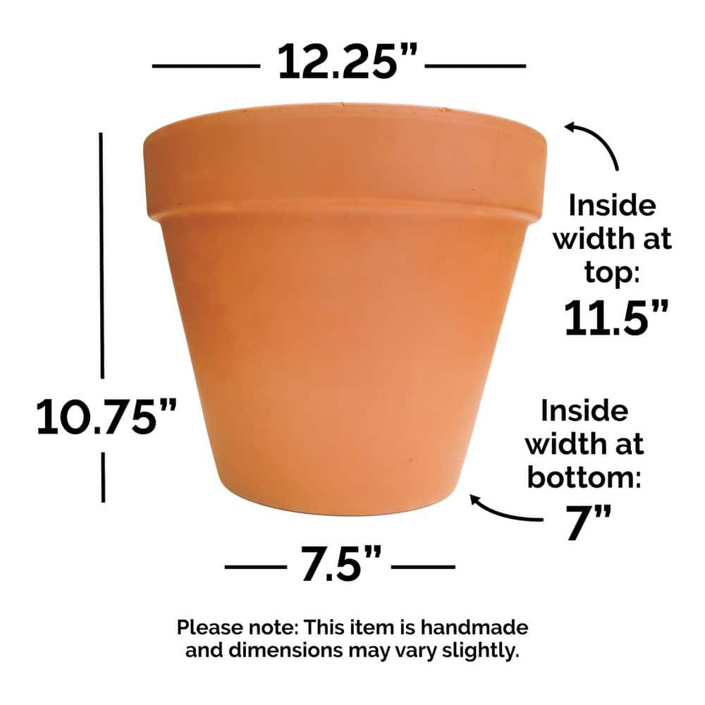 Pennington 12 in. Medium Terra Cotta Clay Pot 100043019