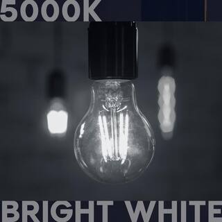 LUXRITE 100-Watt Equivalent A19 1600 Lumens LED Light Bulb 5000K Bright White Dimmable Edison 12-Watt Damp Rated UL E26 (6-Pack) LR21663-6PK