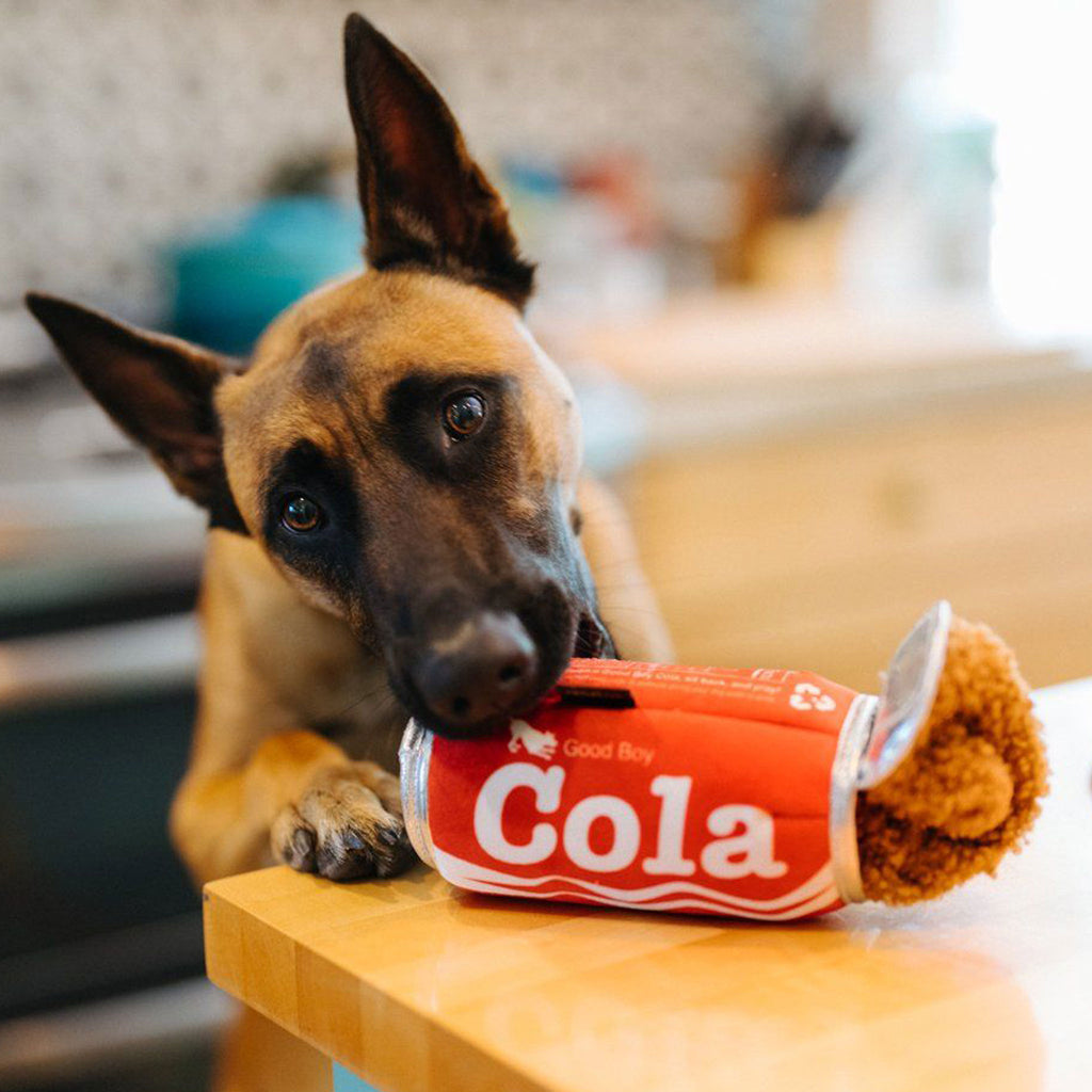 P.L.A.Y. Good Boy Cola Dog Toy