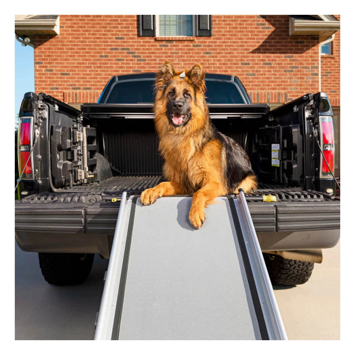 PetSafe Happy Ride Extra Long Telescoping Dog Ramp