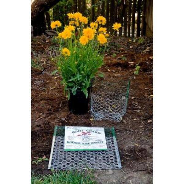 Digger's 5 gal. 12 in. Wire Gopher Basket 100051035