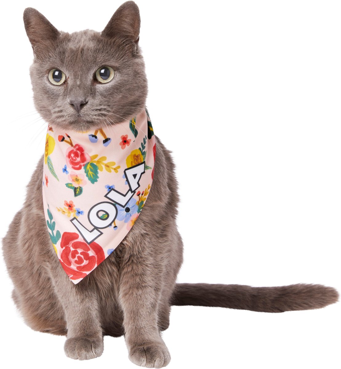 Frisco Floral Personalized Dog and Cat Bandana