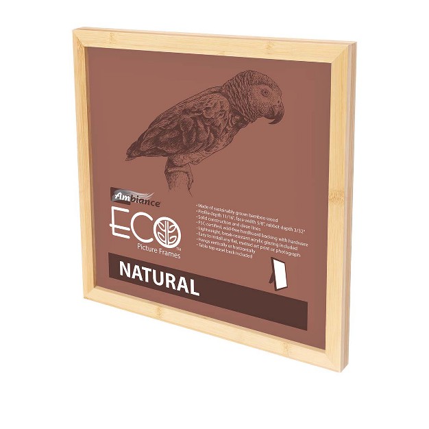 Ambiance Eco Frames 4 Packs Assorted Sizes And Colors