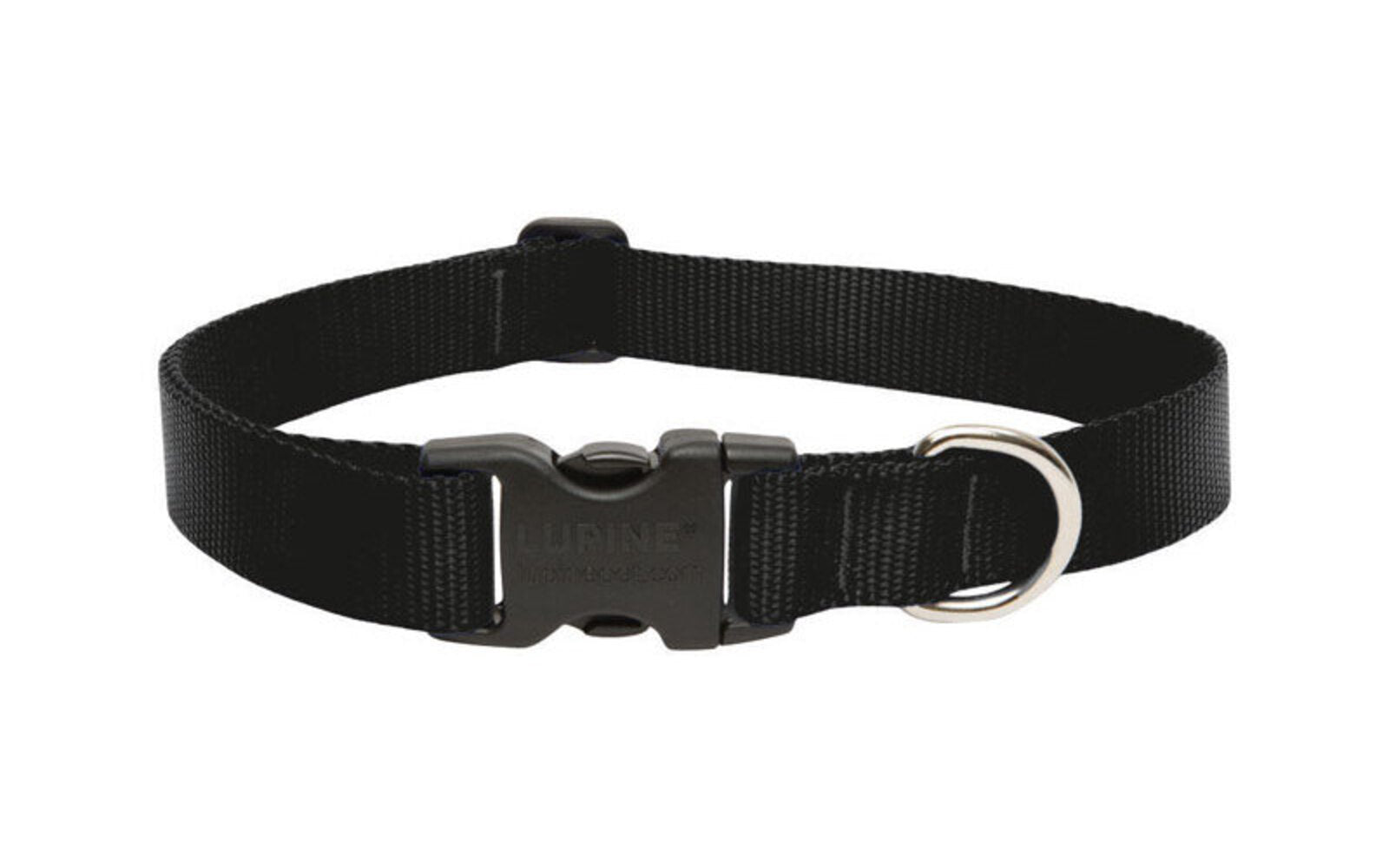 DOG COLLAR 12-20