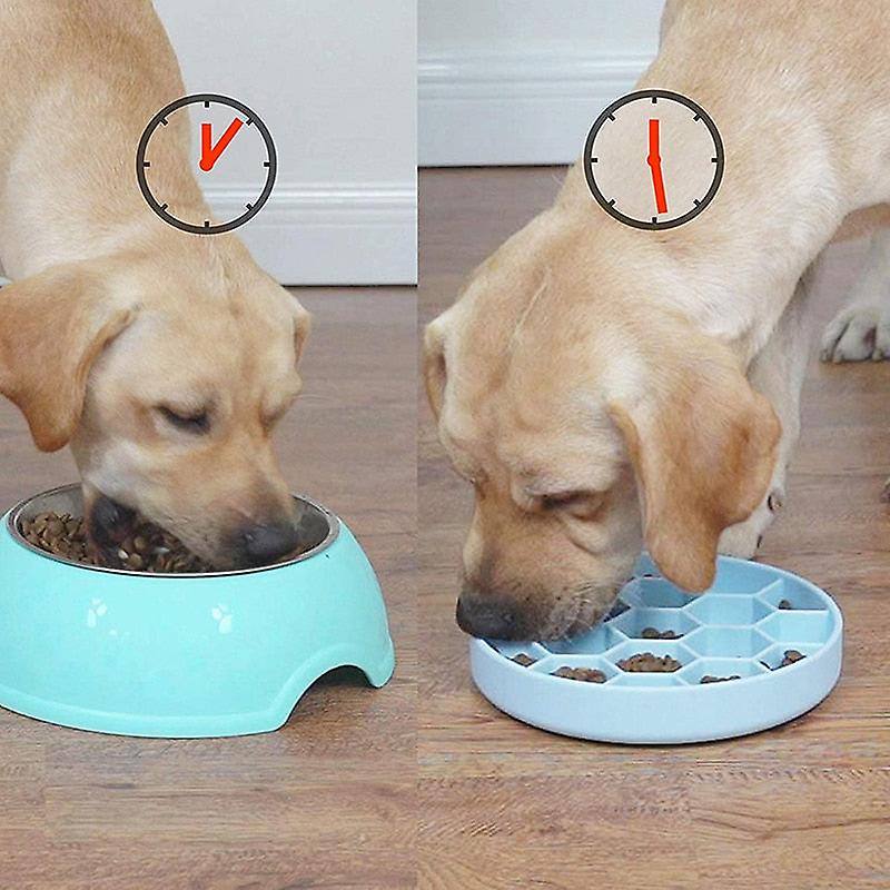 Eco friendly silicone dog food bowl