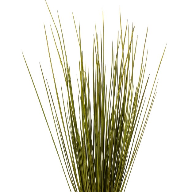 Basil Whip Grass， 8 Oz Bundle， Dried