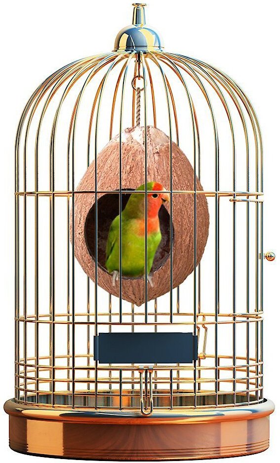 SunGrow Finch and Budgie Coconut Shell Breeding Nest and Seed Storage Bird House