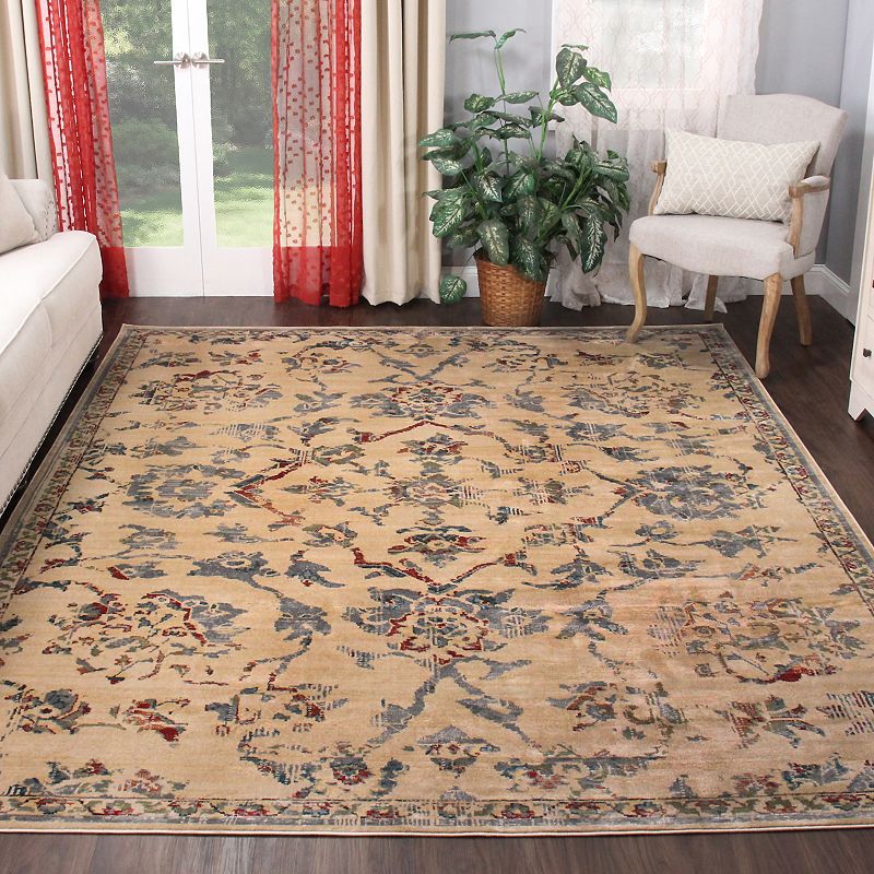 SUPERIOR Basilio Modern Farmhouse Medallion Indoor Area Rug