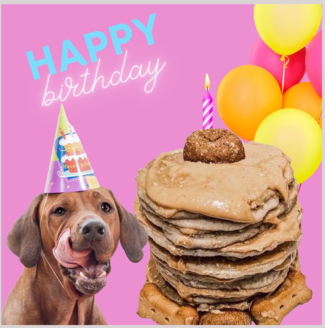 Bark Bistro Company Birthday Bash Pooch Pancakes Dog Treat， 14-oz pouch