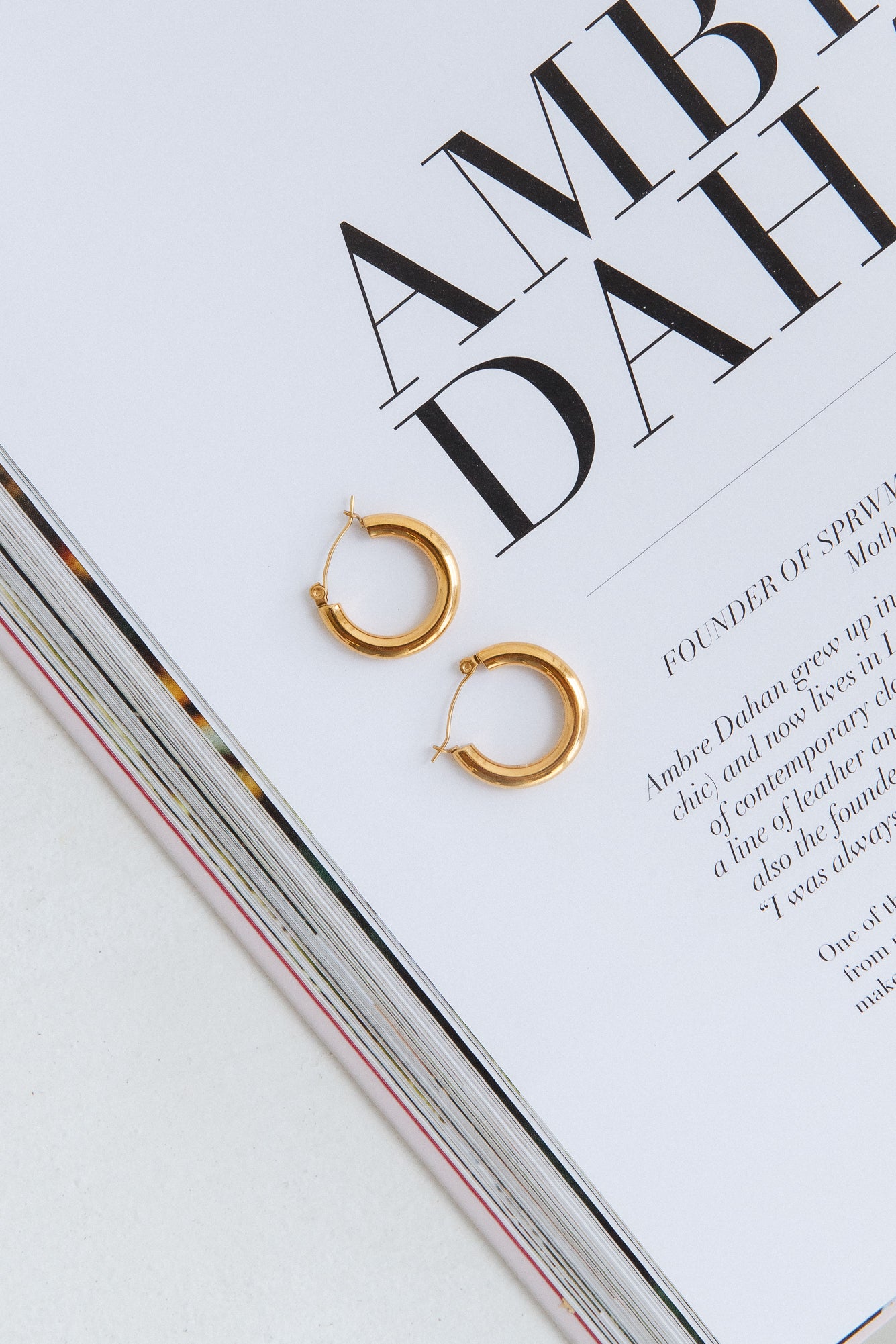 18K Gold Plated Pierce Of Your Heart Earrings