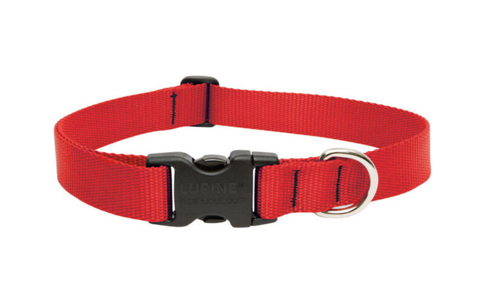 DOG COLLAR 12-20