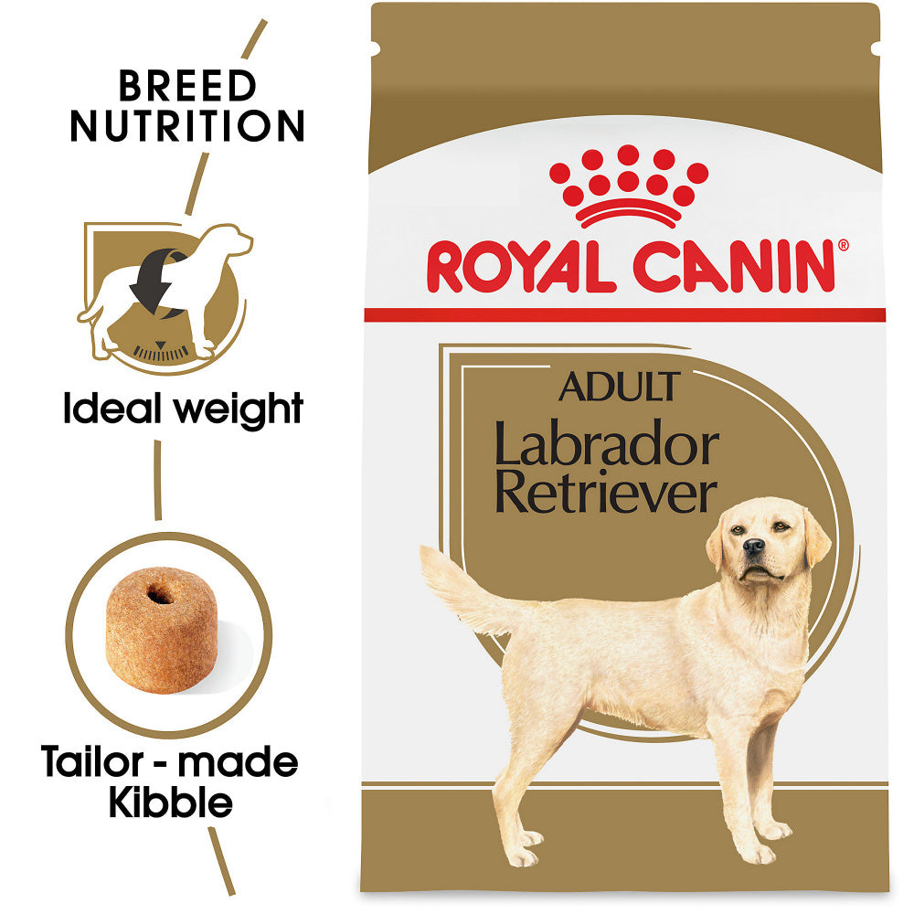 Royal Canin Breed Health Nutrition Labrador Retriever Adult Dry Dog Fo