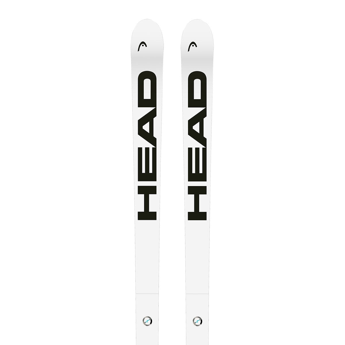 2025 HEAD WCR E-DH Rebel FIS Skis