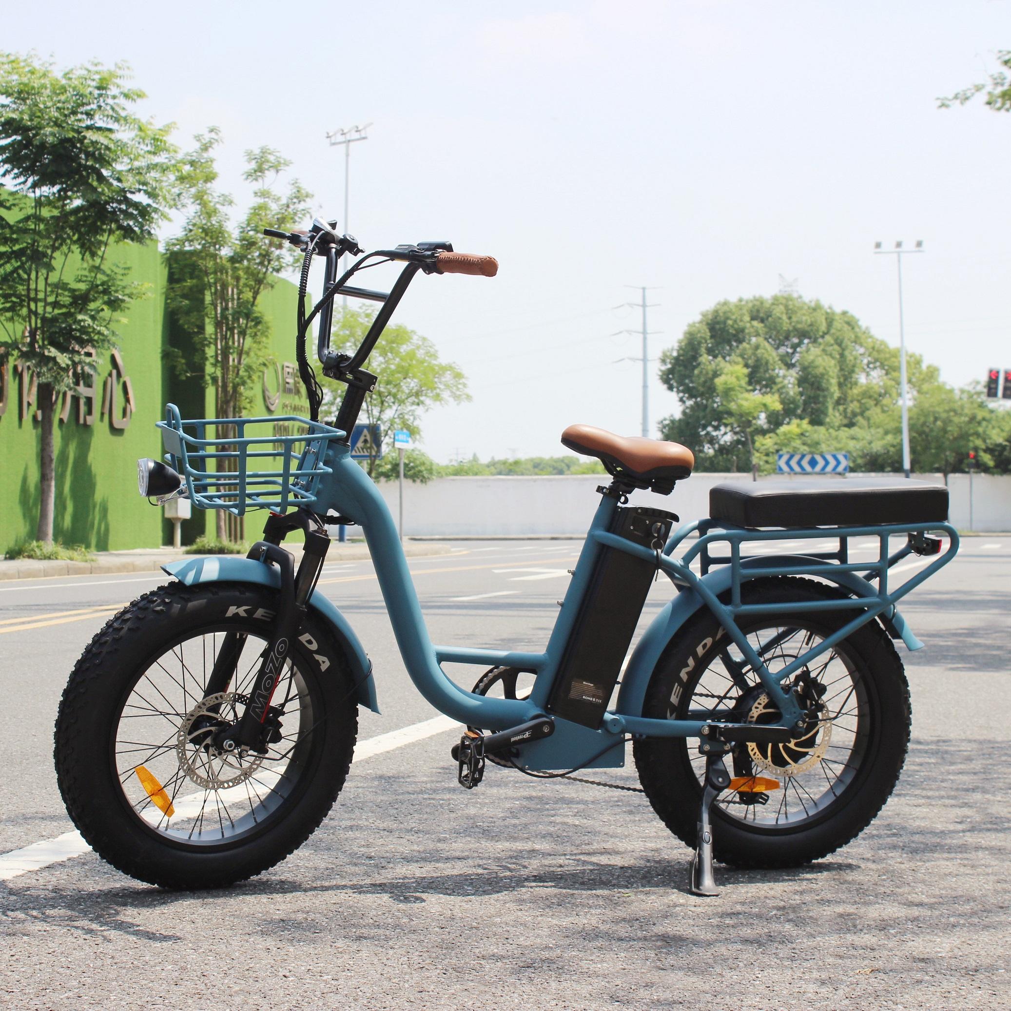 OEM custom fat tire electric bike bicycle cargo e cycle for sale