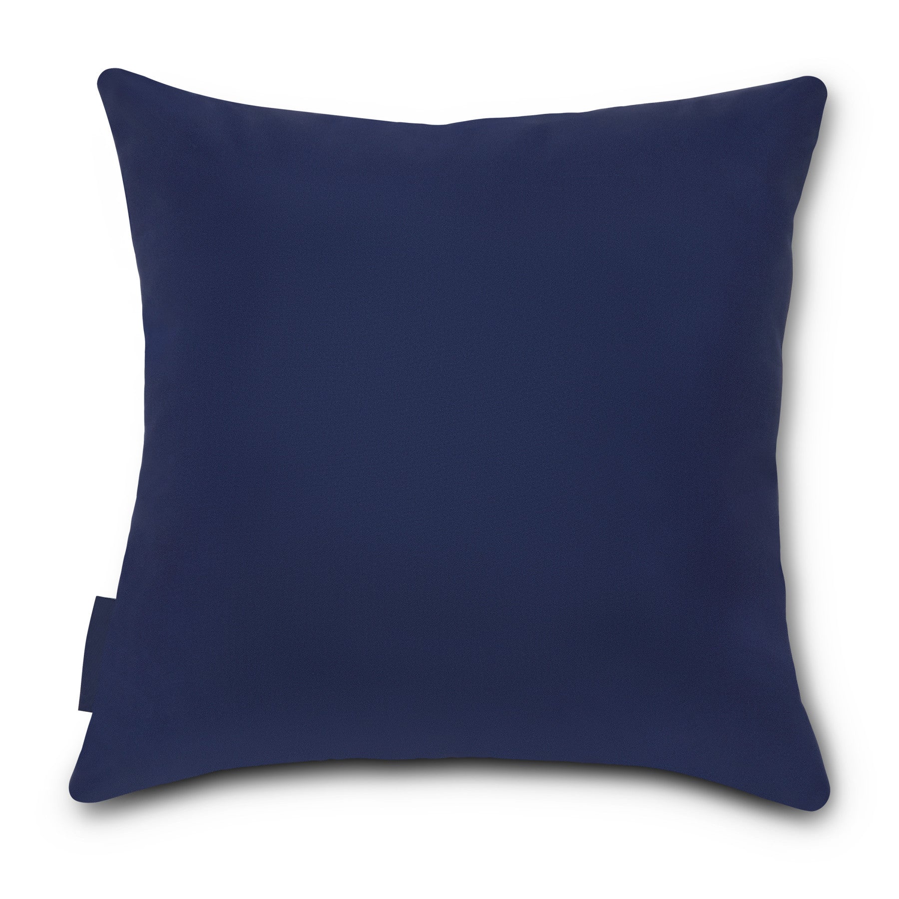 Accent Pillow - 2 Pack