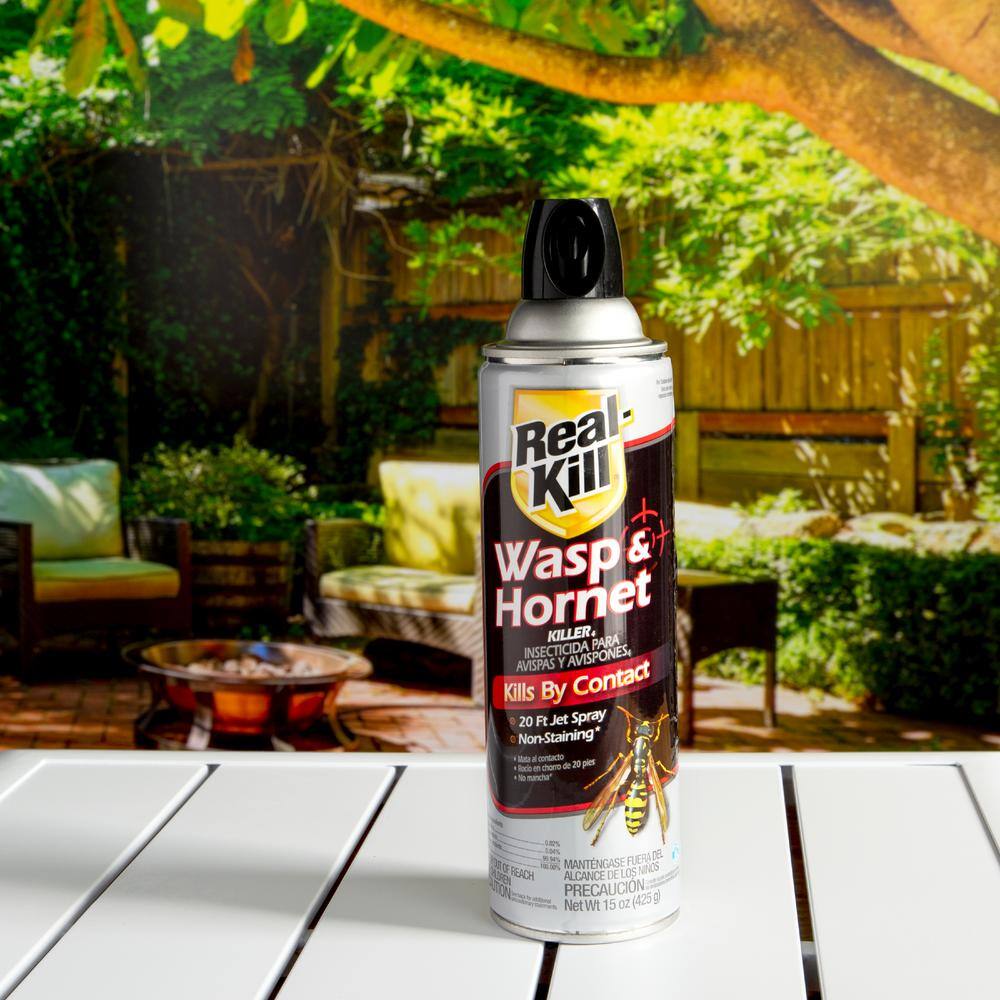 Real-Kill 15 oz. Aerosol Wasp and Hornet Killer HG-96321-1