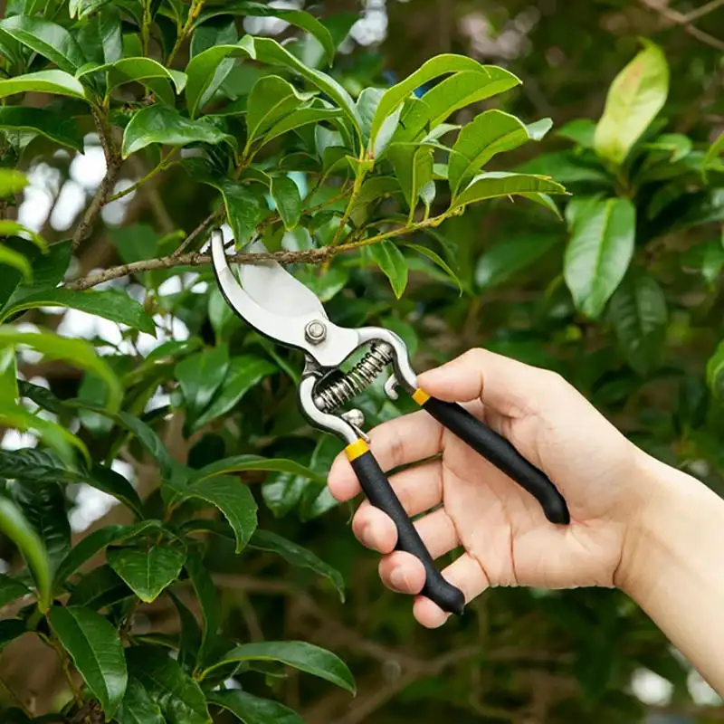 8inch carbon steel hand pruner professional tree trimmers garden scissors secateurs clippers bypass pruning shears