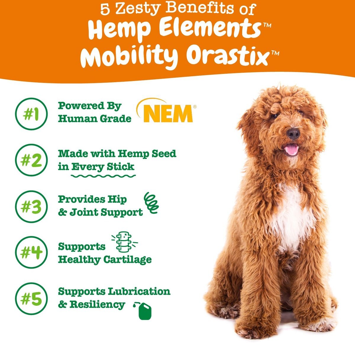 Zesty Paws Hemp Elements Mobility OraStix Peppermint Flavored Dog Dental Chews