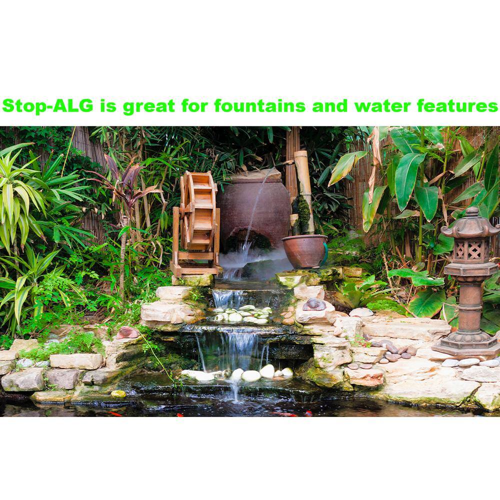 Stop-Alg 1000 ml Aquarium and Pond Algae Control VSA32