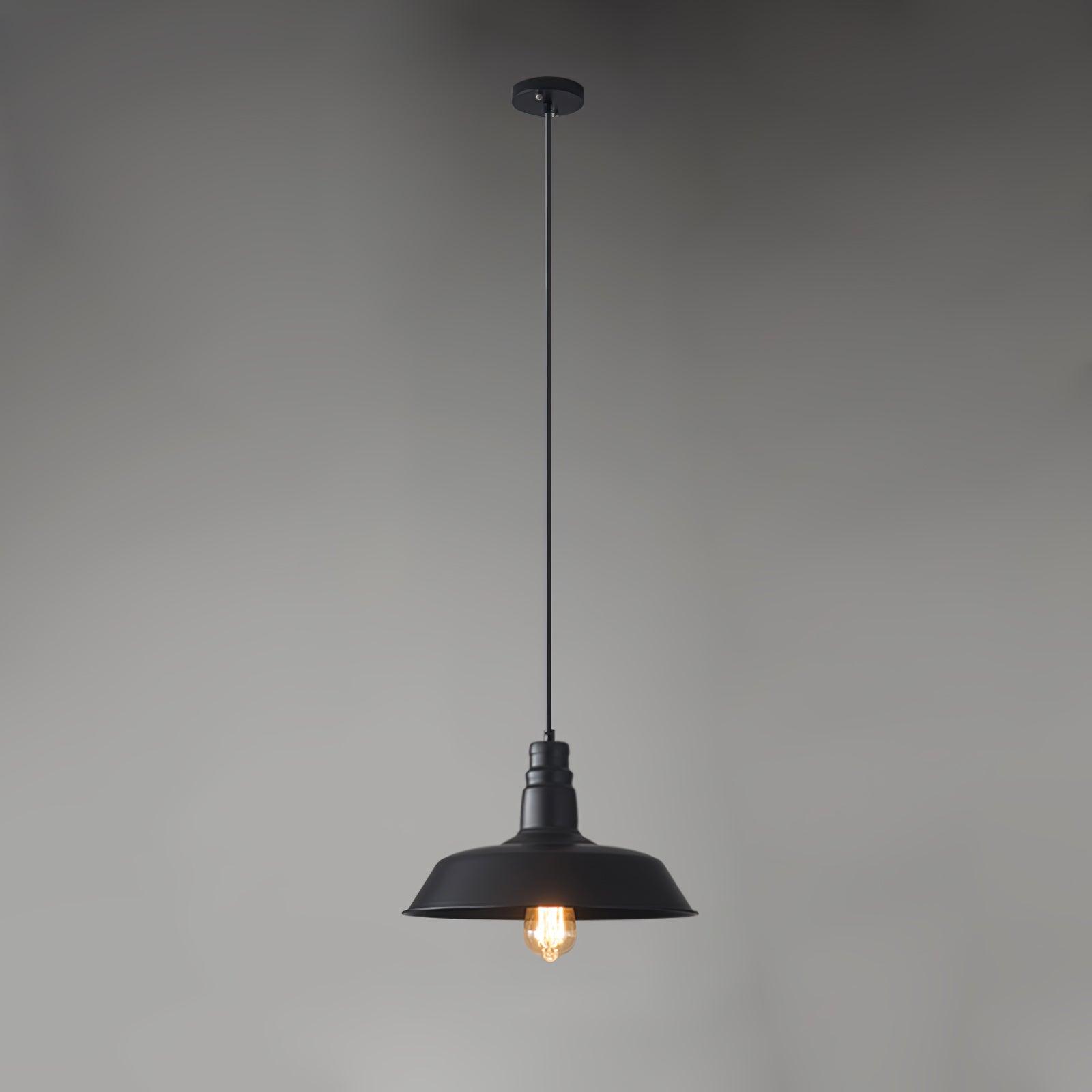 Vintage Industrial Collections Pendant Light