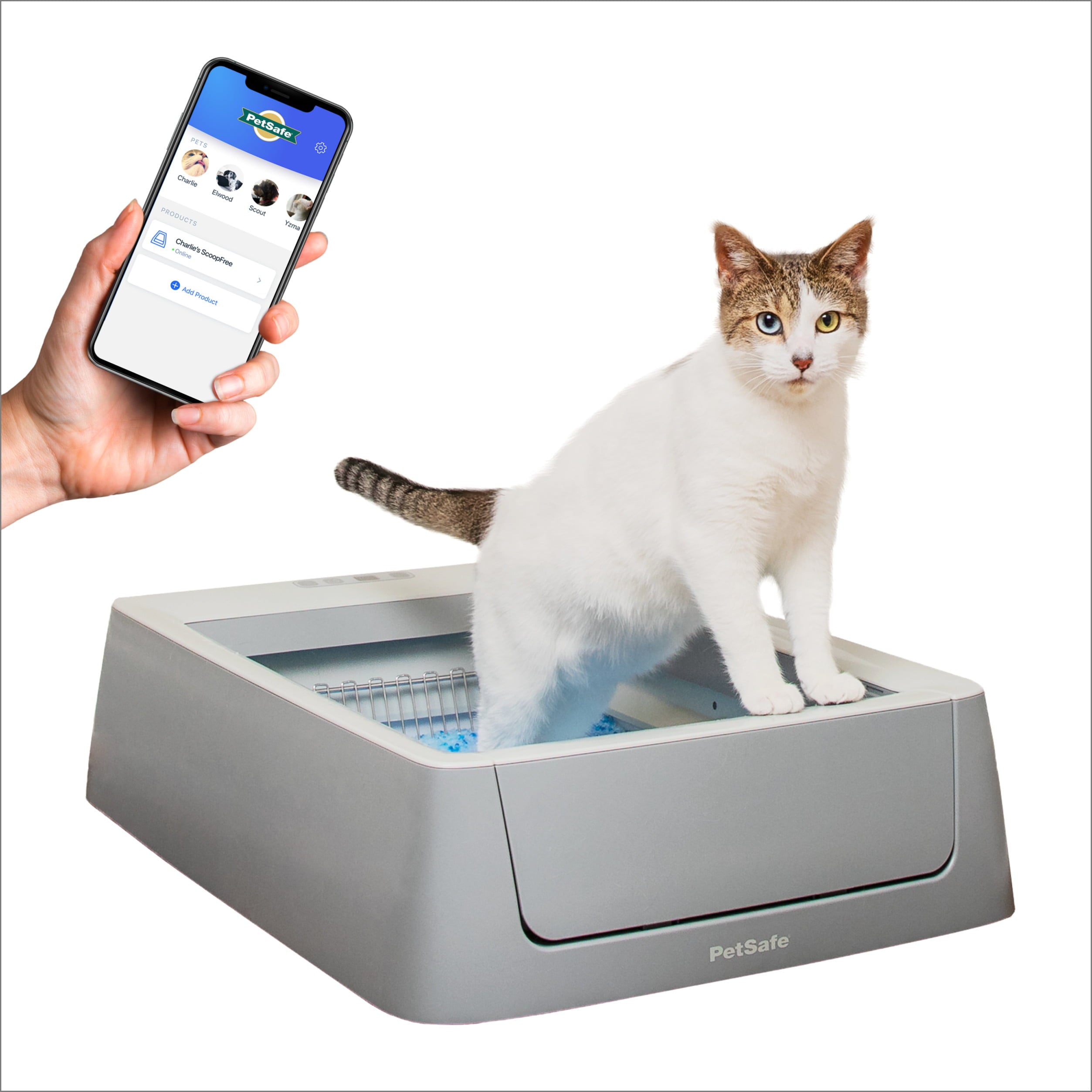 PetSafe ScoopFree Smart Self Cleaning Cat Litter Box， Phone App Connected