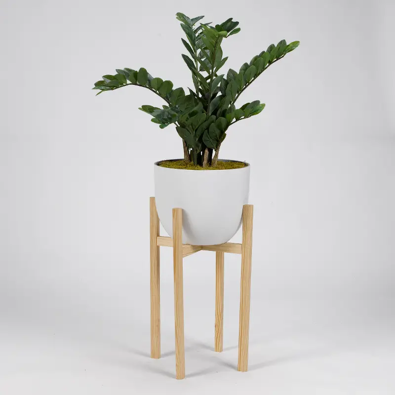 Faux Zamifolia Arrangement in White Planter with Wood Stand