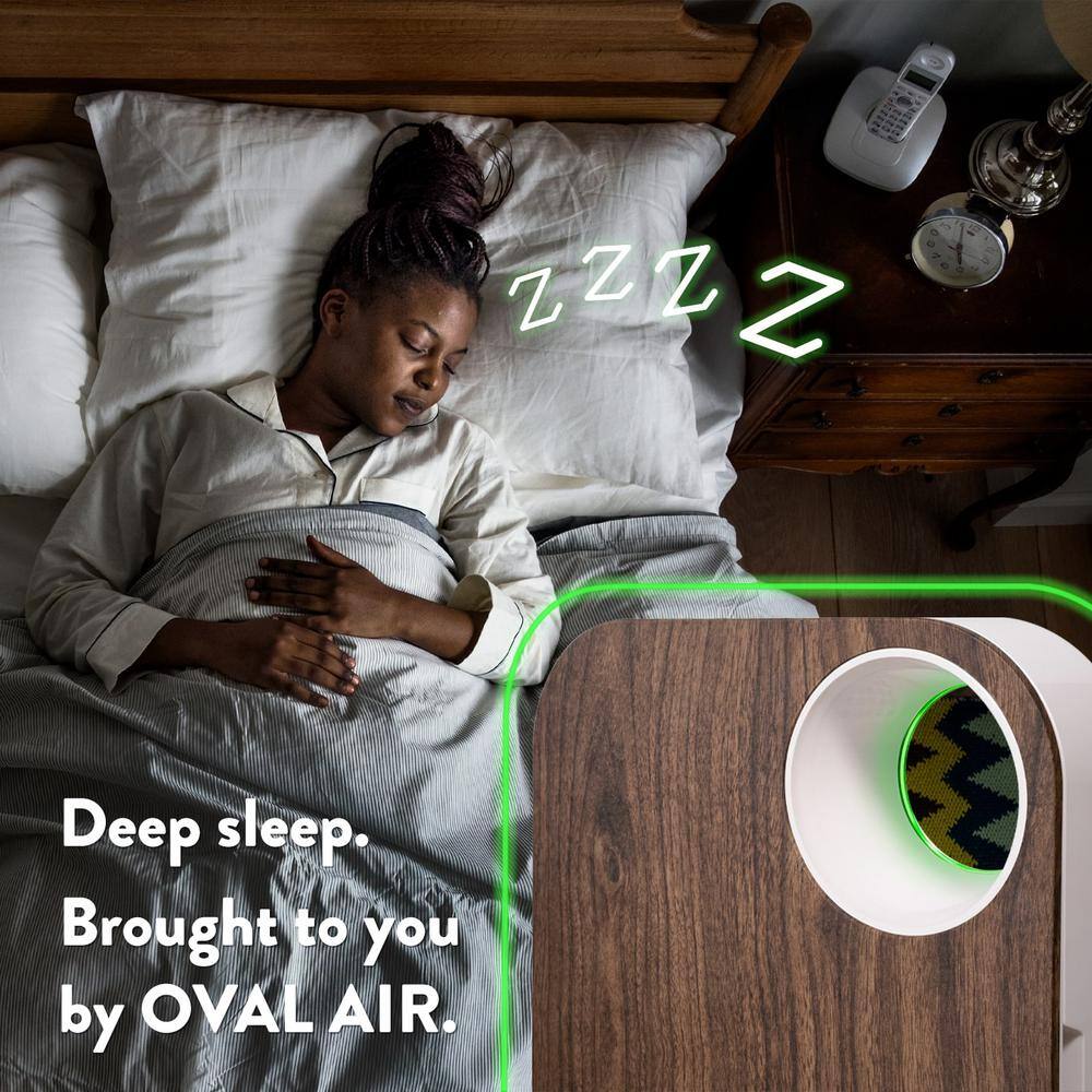 OVAL AIR 3-Stage 5-in-1 Air Purifier for Rooms Upto 600 sq. ft. Reduces Allergies Asthma Pets Odor Smoke Silver AIR1000B