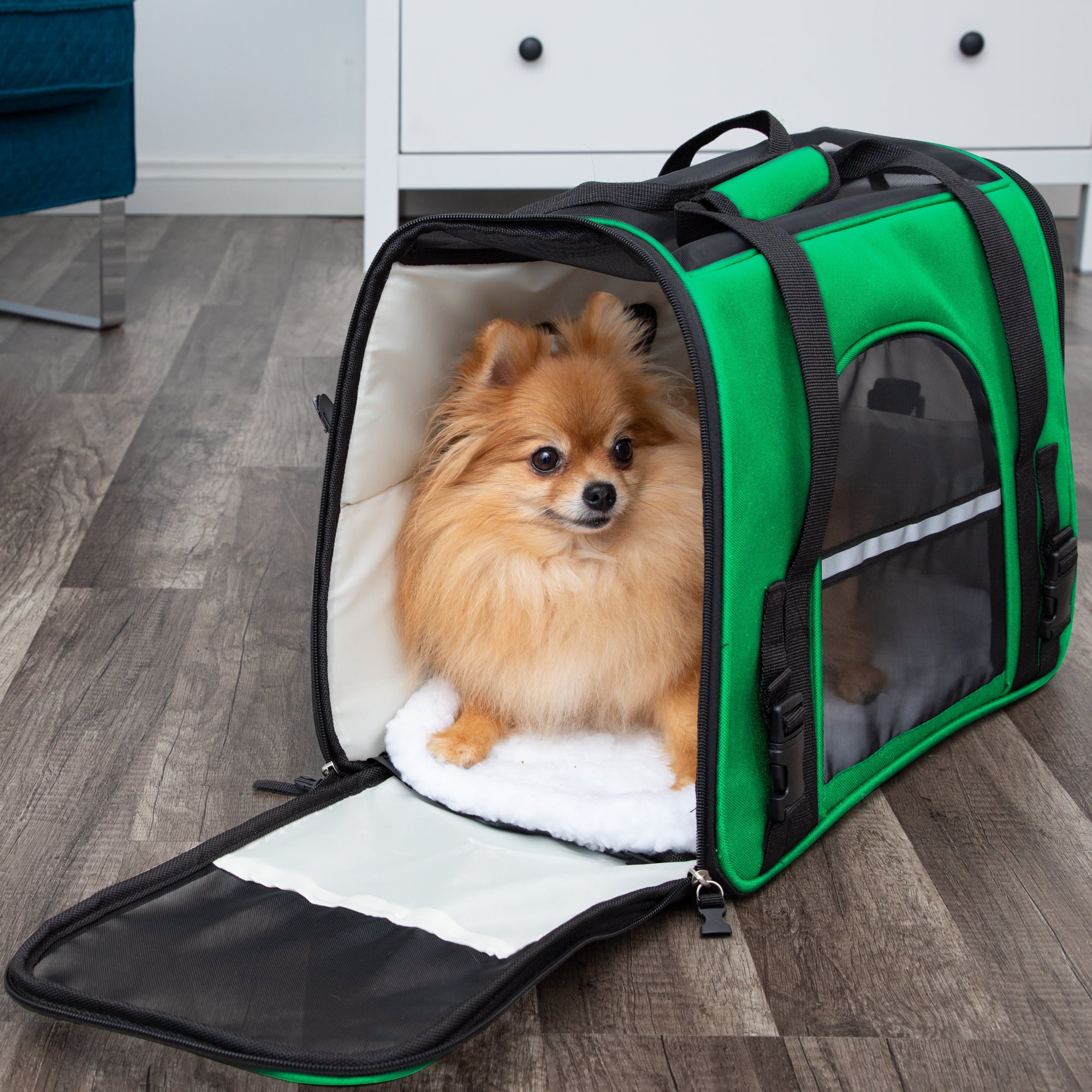 Paws and Pals Pet Carrier for Dogs and Cats - Soft-Sided FAA Airline Approved Easy Travel Deluxe