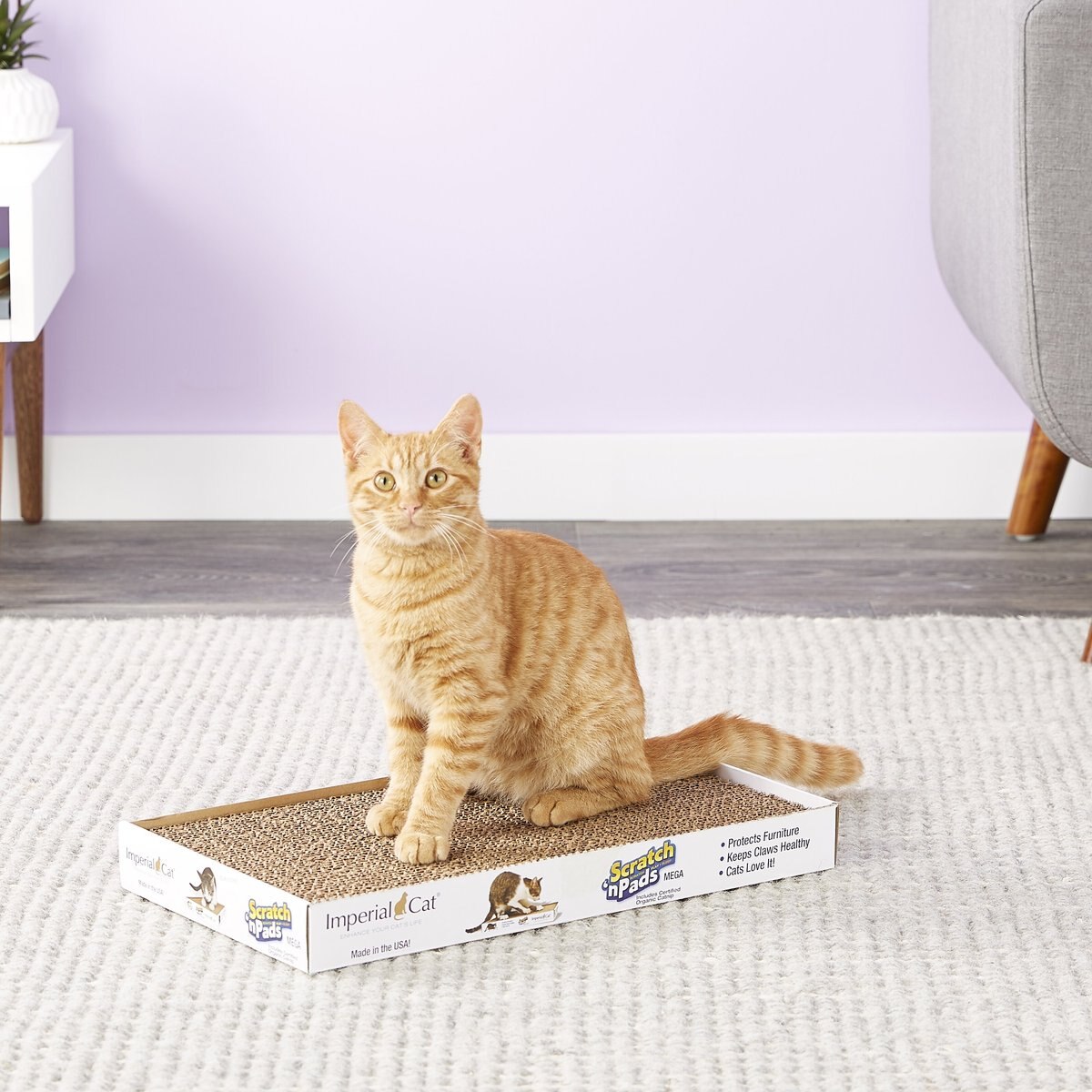 Imperial Cat Scratch'n Pad Cat Scratcher