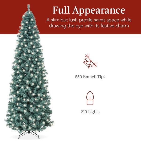 PreLit Blue Spruce Pencil Christmas Tree w/ Metal Base