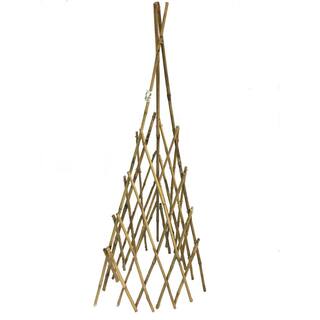 72 in. H Bamboo Teepee Trellis BT-72