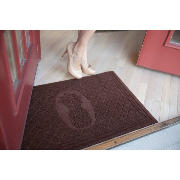 X 3 x27 Pineapple Indoor outdoor Doormat Chocolate Entryways