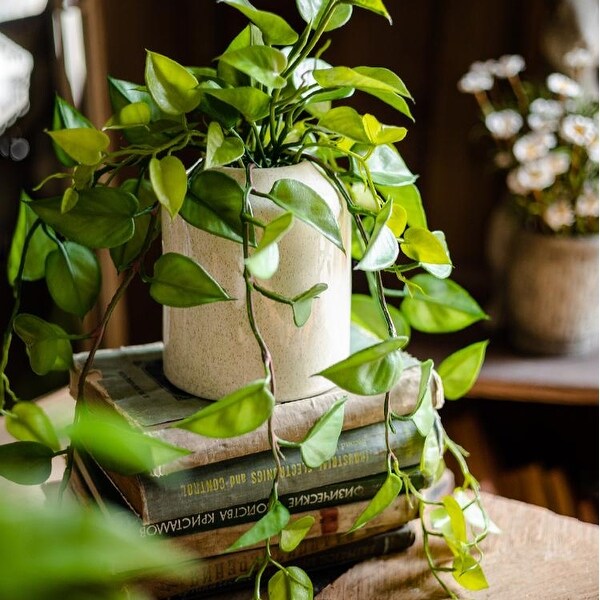 RusticReach Artificial Devil's Ivy Plant in White Pot