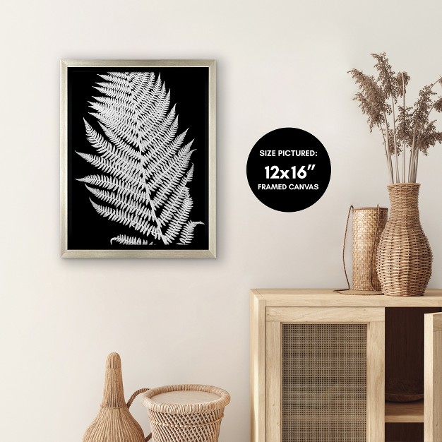 Americanflat White Fern Ii By Chaos amp Wonder Design Floating Canvas Frame Modern Wall Art Decor