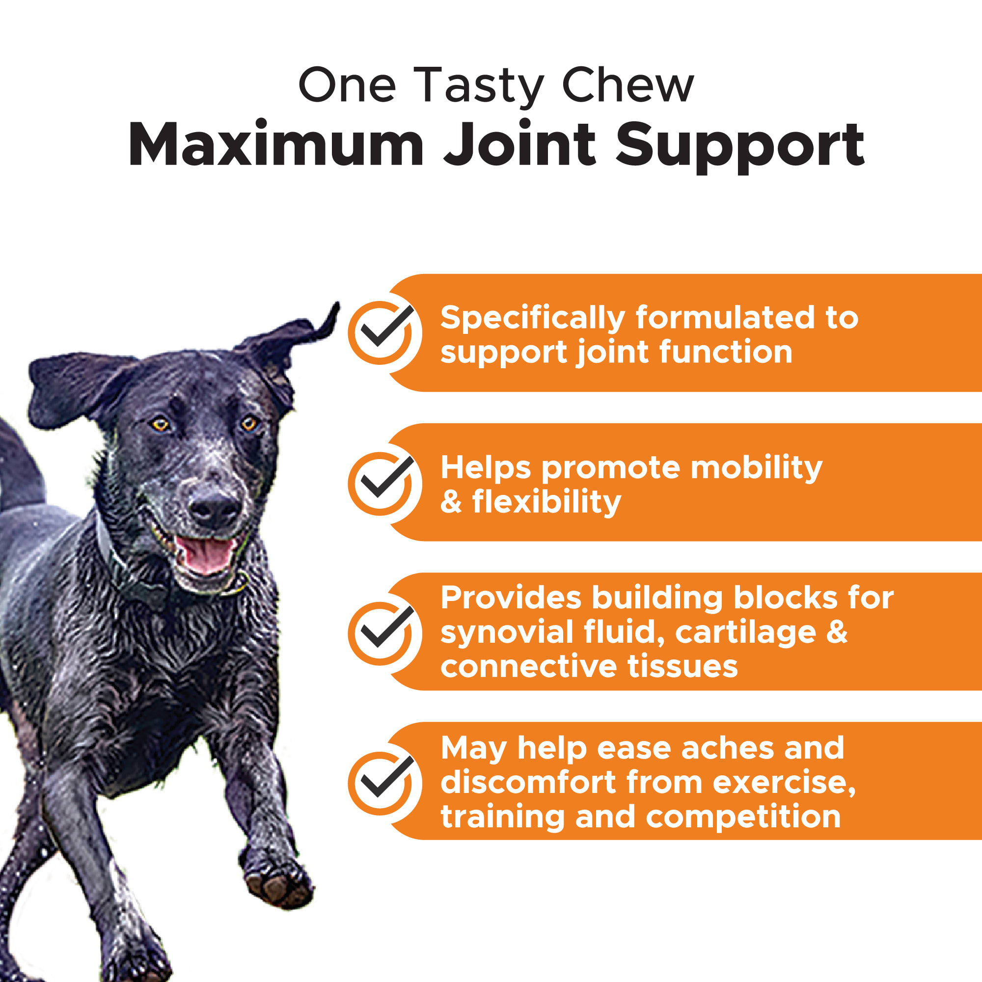 PET HONESTY Hip + Joint Health Max Strength Soft Chews for Dogs， Count of 90