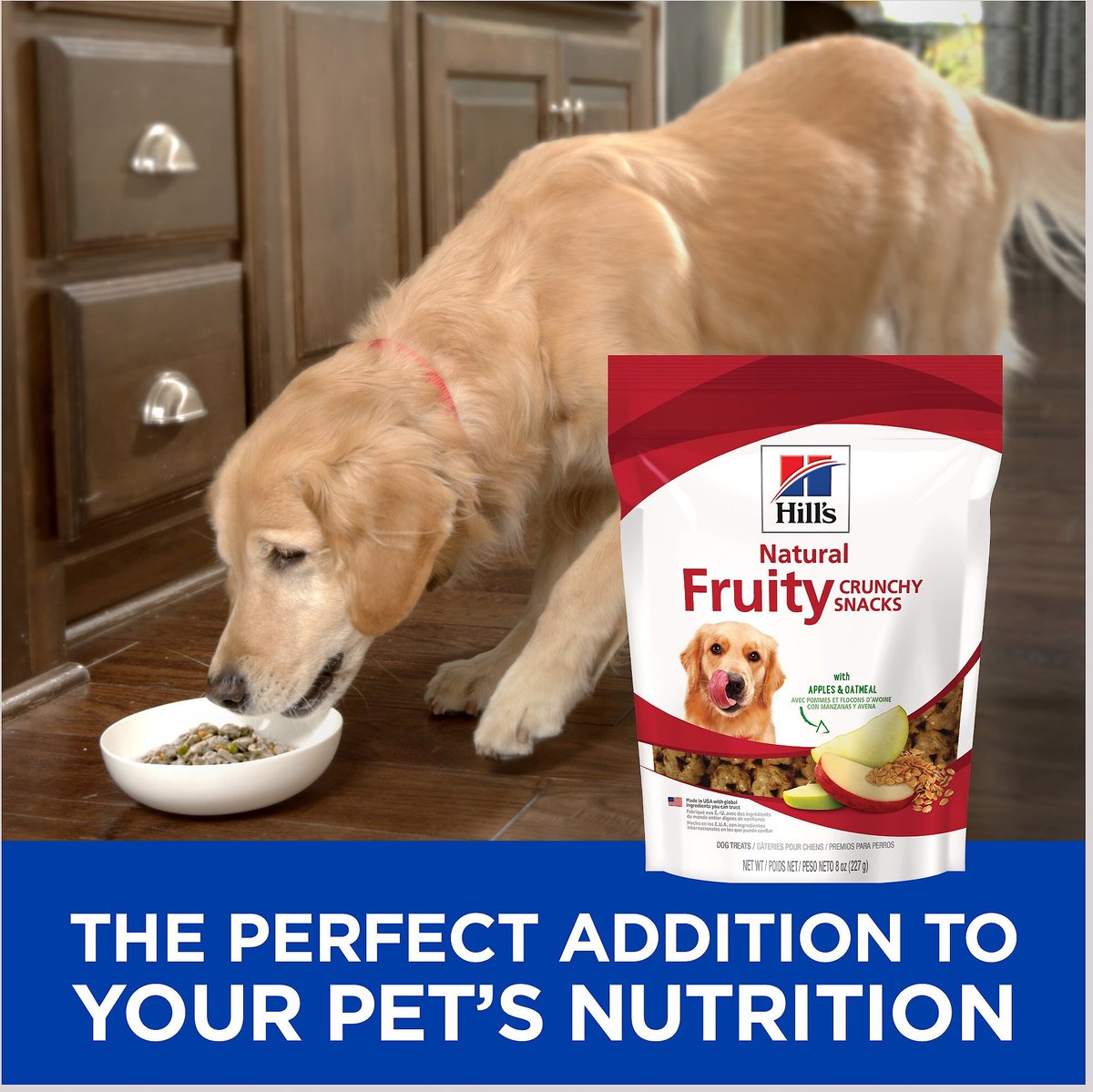 Hill's Natural Fruity Snacks with Apples and Oatmeal Crunchy Dog Treats