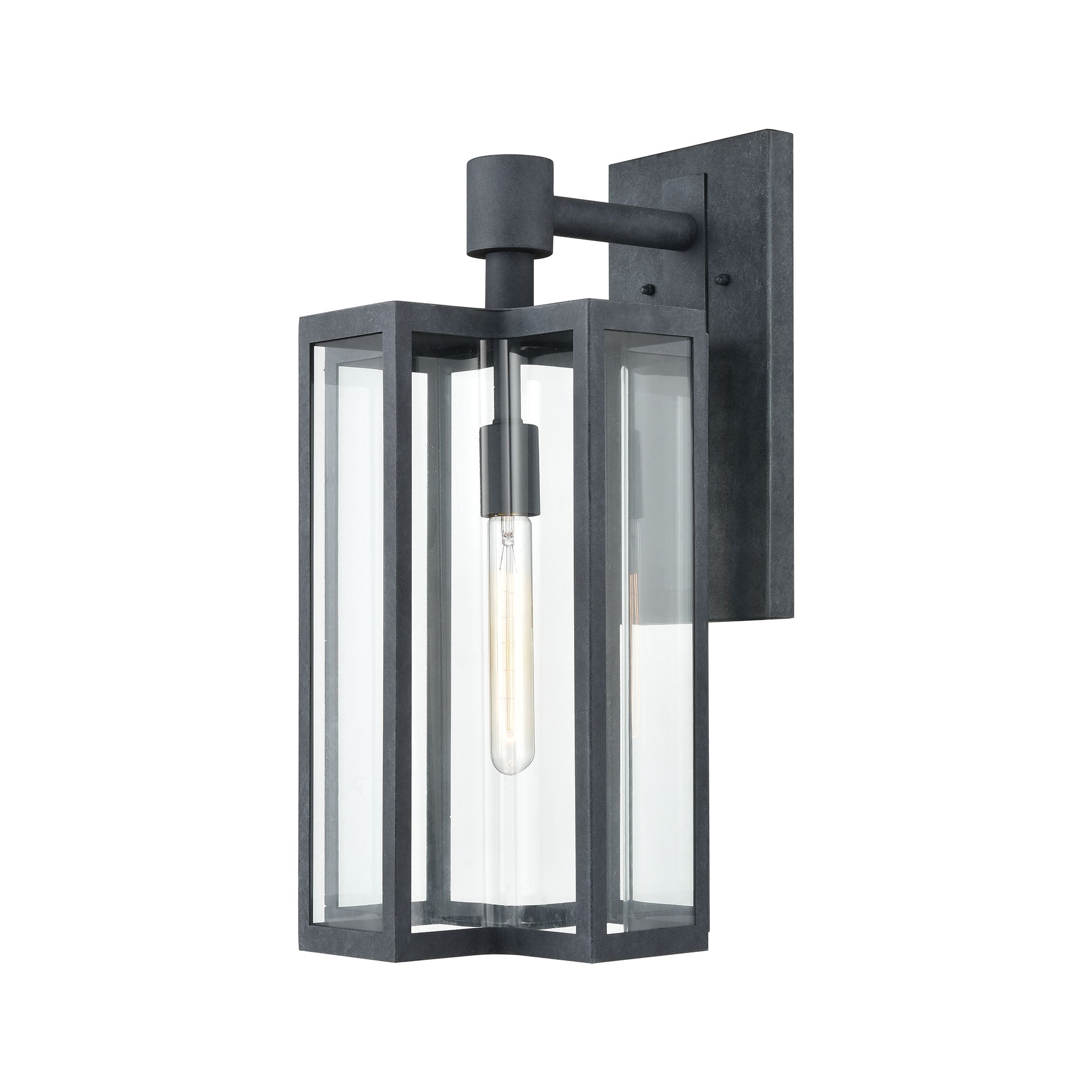 Bianca 1-Light 20 x 12 x 10 Sconce in Aged Zinc with Clear