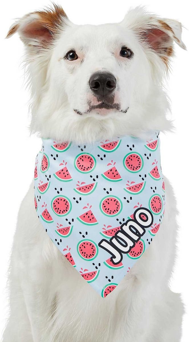 Frisco Watermelons Personalized Dog and Cat Bandana