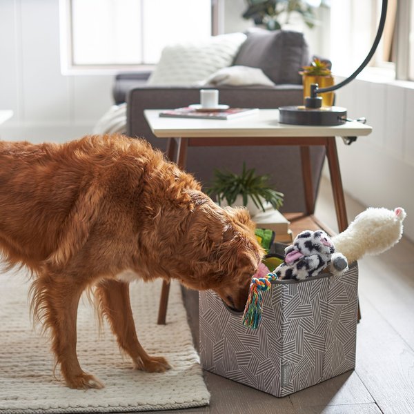 Frisco Square Collapsible Pet Toy Storage Bin， Gray Basket Weave