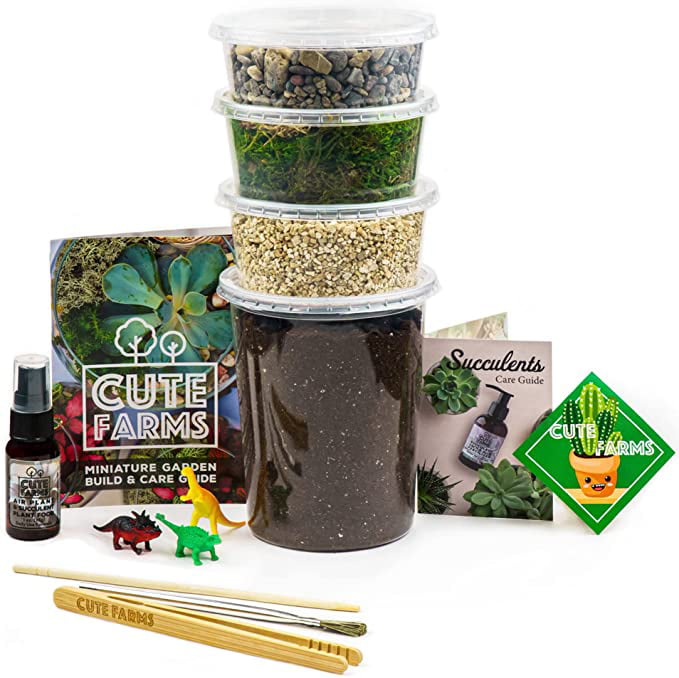 Cute Farms Terrarium Starter Kit for Adults and Kids (Large Kit)